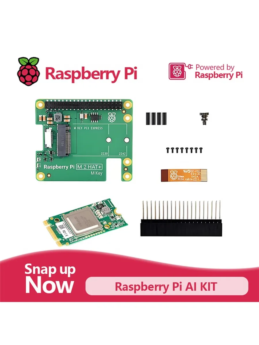 Raspberry Pi AI Kit
