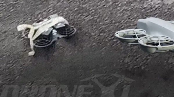 DJI Neo 2 выйдет в ноябре 2025 года