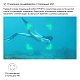 Подводный дрон QYSEA Fifish V-Evo Standard Pack